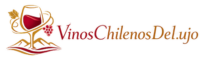 http://vinoschilenosdelujo.com